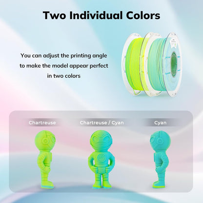 Amolen - Matte Dual-Color PLA Filament 1.75mm - 1kg / 2.2lbs
